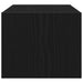 Dulap TV Stejar negru 60x31x25,5 cm Lemn prelucrat - WALTI WALTI