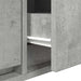 Dulap TV Beton Gri 60x31x25,5 cm Lemn prelucrat - WALTI WALTI