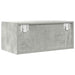Dulap TV Beton Gri 60x31x25,5 cm Lemn prelucrat - WALTI WALTI