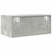 Dulapuri TV 2 buc Beton Gri 60x31x25,5 cm Lemn prelucrat - WALTI WALTI