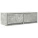Dulap TV Beton Gri 80x31x25,5 cm Lemn prelucrat - WALTI WALTI