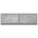 Dulap TV Beton Gri 80x31x25,5 cm Lemn prelucrat - WALTI WALTI