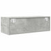Dulap TV Beton Gri 80x31x25,5 cm Lemn prelucrat - WALTI WALTI
