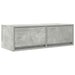 Dulapuri TV 2 buc Beton Gri 80x31x25,5 cm Lemn prelucrat - WALTI WALTI