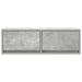 Dulapuri TV 2 buc Beton Gri 80x31x25,5 cm Lemn prelucrat - WALTI WALTI