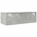 Dulapuri TV 2 buc Beton Gri 80x31x25,5 cm Lemn prelucrat - WALTI WALTI