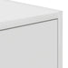 Cabinet TV cu sertar Alb 100 x 31 x 25.5 cm Lemn compozit - WALTI WALTI