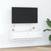 Cabinet TV cu sertar Alb 100 x 31 x 25.5 cm Lemn compozit - WALTI WALTI