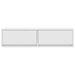 Cabinet TV cu sertar Alb 100 x 31 x 25.5 cm Lemn compozit - WALTI WALTI