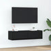Cabinet TV Stejar negru 100 x 31 x 25.5 cm Lemn compozit - WALTI WALTI