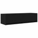 Cabinet TV Stejar negru 100 x 31 x 25.5 cm Lemn compozit - WALTI WALTI