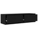 Cabinet TV Stejar negru 100 x 31 x 25.5 cm Lemn compozit - WALTI WALTI