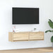 Cabinet TV Stejar sonoma 100 x 31 x 25.5 cm Lemn compozit - WALTI WALTI