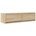 Cabinet TV Stejar sonoma 100 x 31 x 25.5 cm Lemn compozit - WALTI WALTI