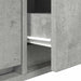 Cabinet TV cu sertar Gri beton 100 x 31 x 25.5 cm Lemn compozit - WALTI WALTI