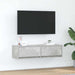 Cabinet TV cu sertar Gri beton 100 x 31 x 25.5 cm Lemn compozit - WALTI WALTI