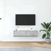 Cabinet TV cu sertar Gri beton 100 x 31 x 25.5 cm Lemn compozit - WALTI WALTI