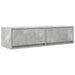 Cabinet TV cu sertar Gri beton 100 x 31 x 25.5 cm Lemn compozit - WALTI WALTI