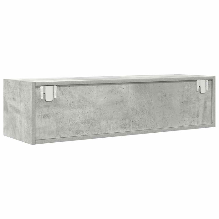 Cabinet TV cu sertar Gri beton 100 x 31 x 25.5 cm Lemn compozit - WALTI WALTI