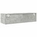 Cabinet TV cu sertar Gri beton 100 x 31 x 25.5 cm Lemn compozit - WALTI WALTI