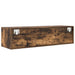 Cabinet TV Stejar afumat 100 x 31 x 25.5 cm Lemn compozit - WALTI WALTI