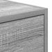 Cabinet TV sonoma gri 100 x 31 x 25.5 cm Lemn compozit - WALTI WALTI