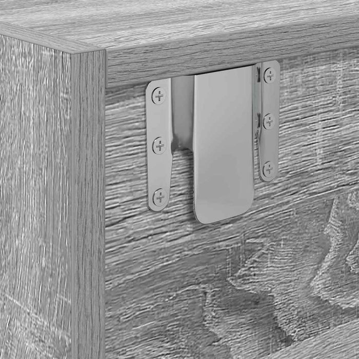 Cabinet TV sonoma gri 100 x 31 x 25.5 cm Lemn compozit - WALTI WALTI