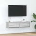 Cabinet TV sonoma gri 100 x 31 x 25.5 cm Lemn compozit - WALTI WALTI