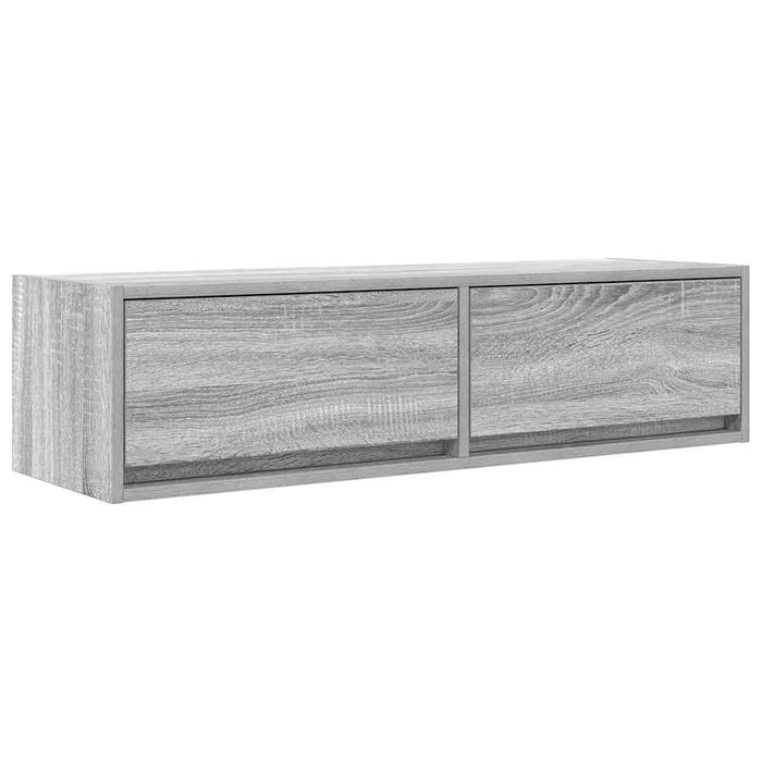 Cabinet TV sonoma gri 100 x 31 x 25.5 cm Lemn compozit - WALTI WALTI