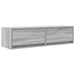 Cabinet TV sonoma gri 100 x 31 x 25.5 cm Lemn compozit - WALTI WALTI