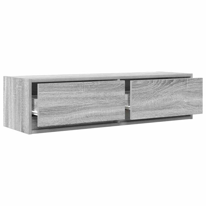 Cabinet TV sonoma gri 100 x 31 x 25.5 cm Lemn compozit - WALTI WALTI