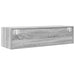 Cabinet TV sonoma gri 100 x 31 x 25.5 cm Lemn compozit - WALTI WALTI