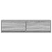 Cabinet TV sonoma gri 100 x 31 x 25.5 cm Lemn compozit - WALTI WALTI