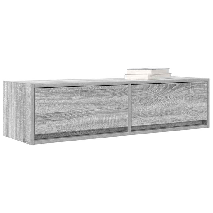 Cabinet TV sonoma gri 100 x 31 x 25.5 cm Lemn compozit - WALTI WALTI