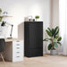 Dulap cu sertar stejar negru 55,5x34x119,5 cm lemn prelucrat - WALTI WALTI