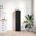 Tablou Stejar negru 29,5x34x119,5 cm Lemn prelucrat - WALTI WALTI