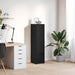 Tablou Stejar negru 29,5x34x119,5 cm Lemn prelucrat - WALTI WALTI