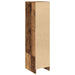 Tablou lemn vechi 29,5x34x119,5 cm Lemn prelucrat - WALTI WALTI