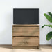 Dulap TV Artisan Stejar 60x35x54 cm Lemn prelucrat - WALTI WALTI