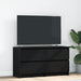 Dulap TV, negru, 100x35x54 cm, lemn prelucrat - WALTI WALTI