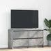 Comodă TV, gri beton, 100x35x54 cm, lemn prelucrat - WALTI WALTI