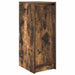 Dulap Pantofi stejar afumat 29,5x34x76 cm Lemn prelucrat - WALTI WALTI