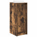 Dulap Pantofi stejar afumat 29,5x34x76 cm Lemn prelucrat - WALTI WALTI
