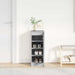 Dulap de pantofi gri Sonoma 29,5x34x76 cm lemn prelucrat - WALTI WALTI