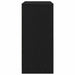 Dulap Pantofi Stejar Negru 57x34x76 cm Lemn prelucrat - WALTI WALTI