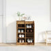 Dulap Pantofi Lemn Vechi 57x34x76 cm Lemn prelucrat - WALTI WALTI
