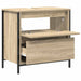 Dulap pentru baie cu sertare Stejar Sonoma 60x34,5x60 cm - WALTI WALTI