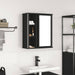 Dulap de baie cu oglindă stejar negru 50x21x60 cm - WALTI WALTI