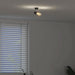 Spot de tavan Negru 6,5 x 6 x 11,5 cm Metal - WALTI WALTI