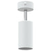 Spot de tavan cu lumina reflectoarelor Alb 6 x 6 x 16 cm Metal - WALTI WALTI